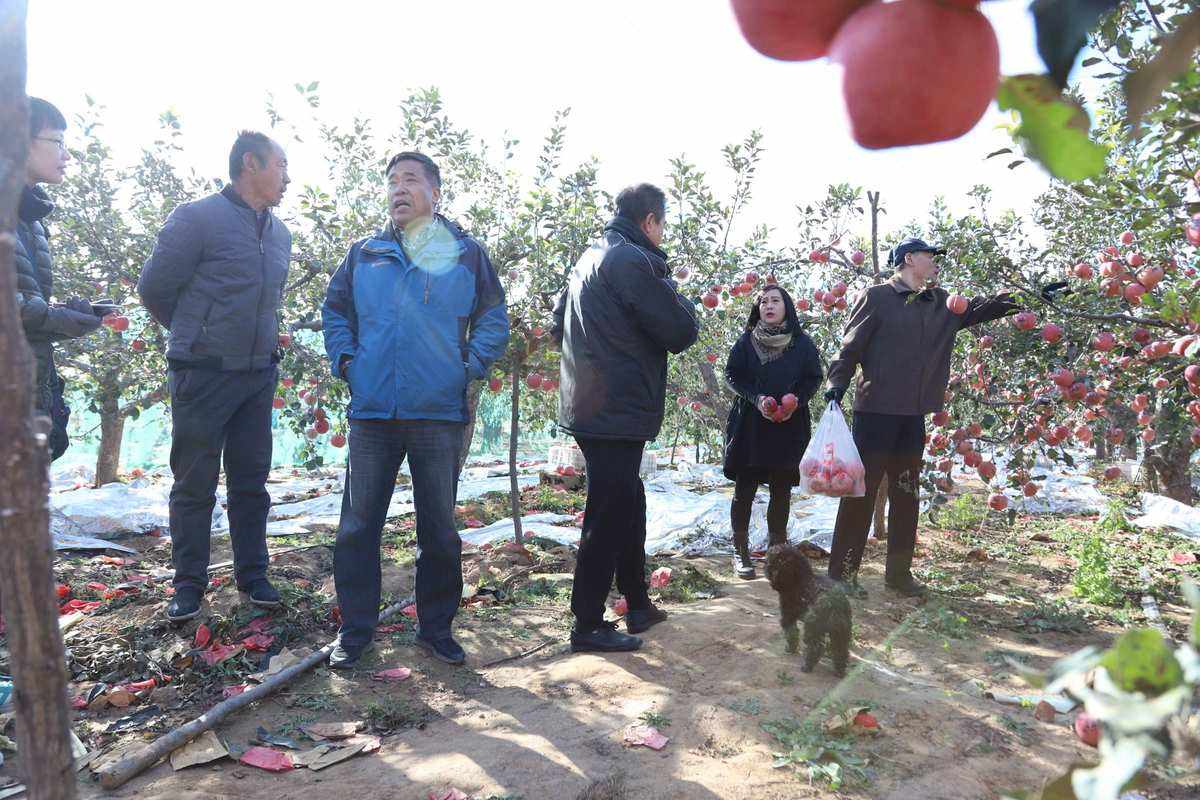 甘肃天水苹果村新闻报道天水师范学院今年秋季新生几号报道