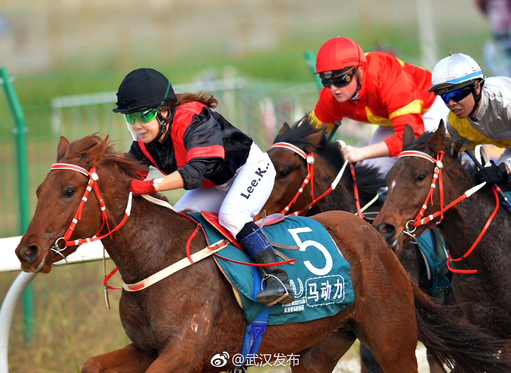 武汉赛马ios客户端全国速度赛马锦标赛在武汉开赛