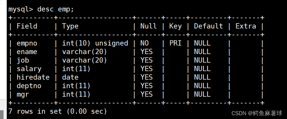 mysql连接安卓版mysql客户端安卓版