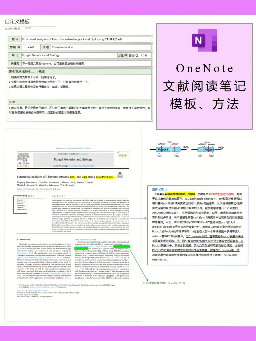 onenote安卓版2018的简单介绍